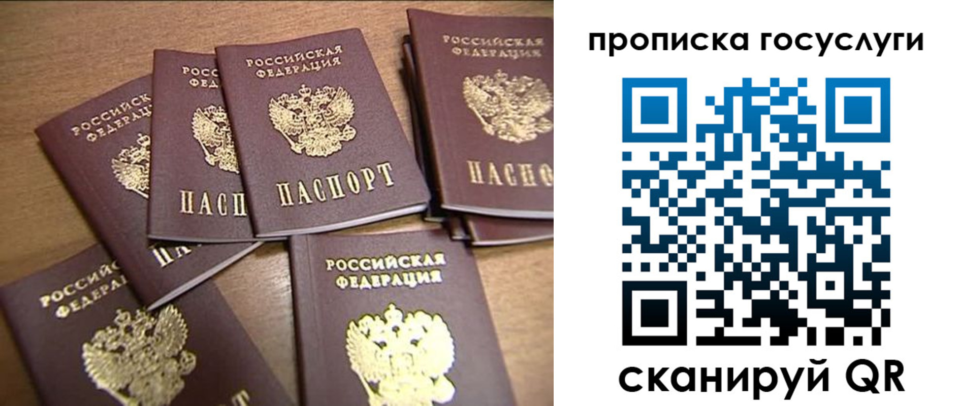 прописка ребенка в Железногорске